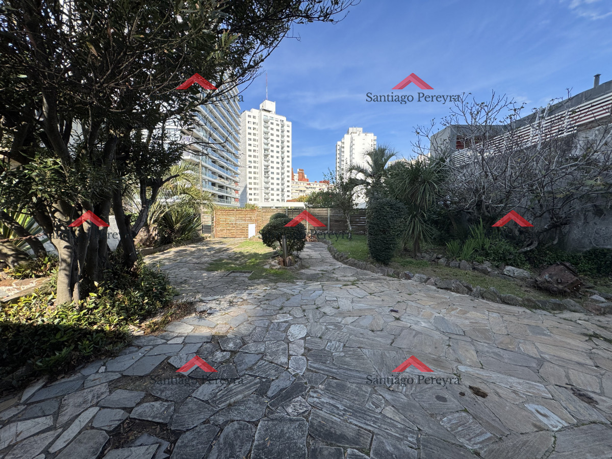 Brava - GoPunta - Portal Inmobiliario de Punta del Este - Maldonado