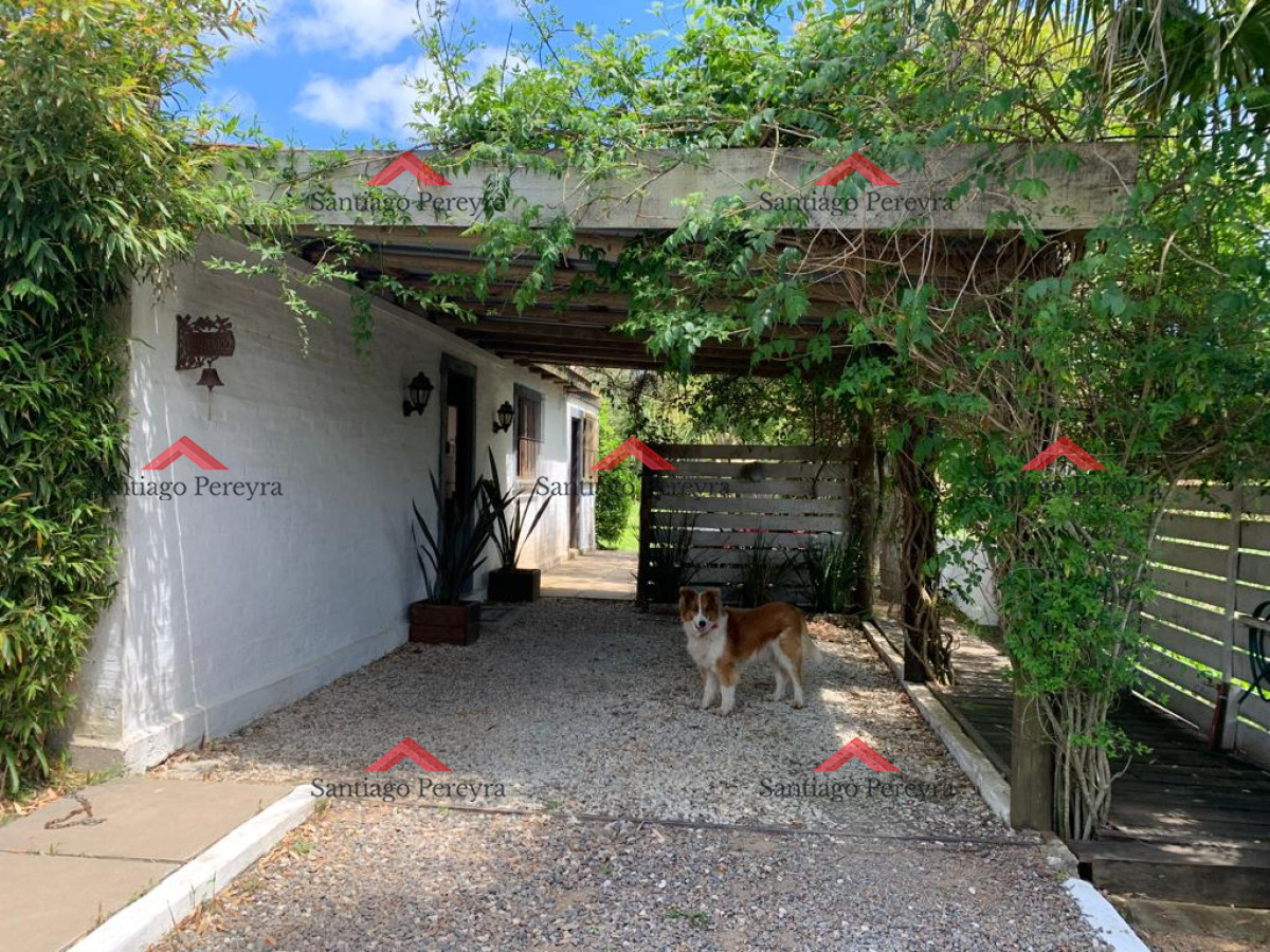 La Bota - GoPunta - Portal Inmobiliario de Punta del Este - Maldonado