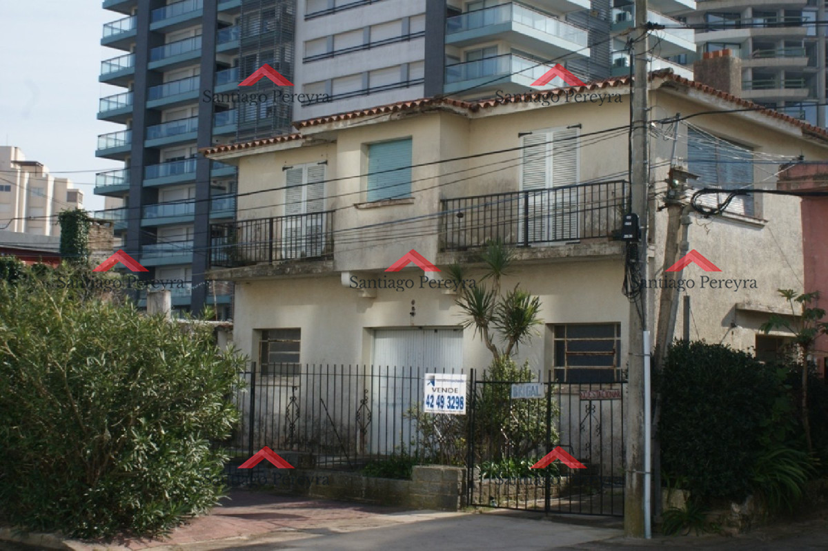 Brava - GoPunta - Portal Inmobiliario de Punta del Este - Maldonado
