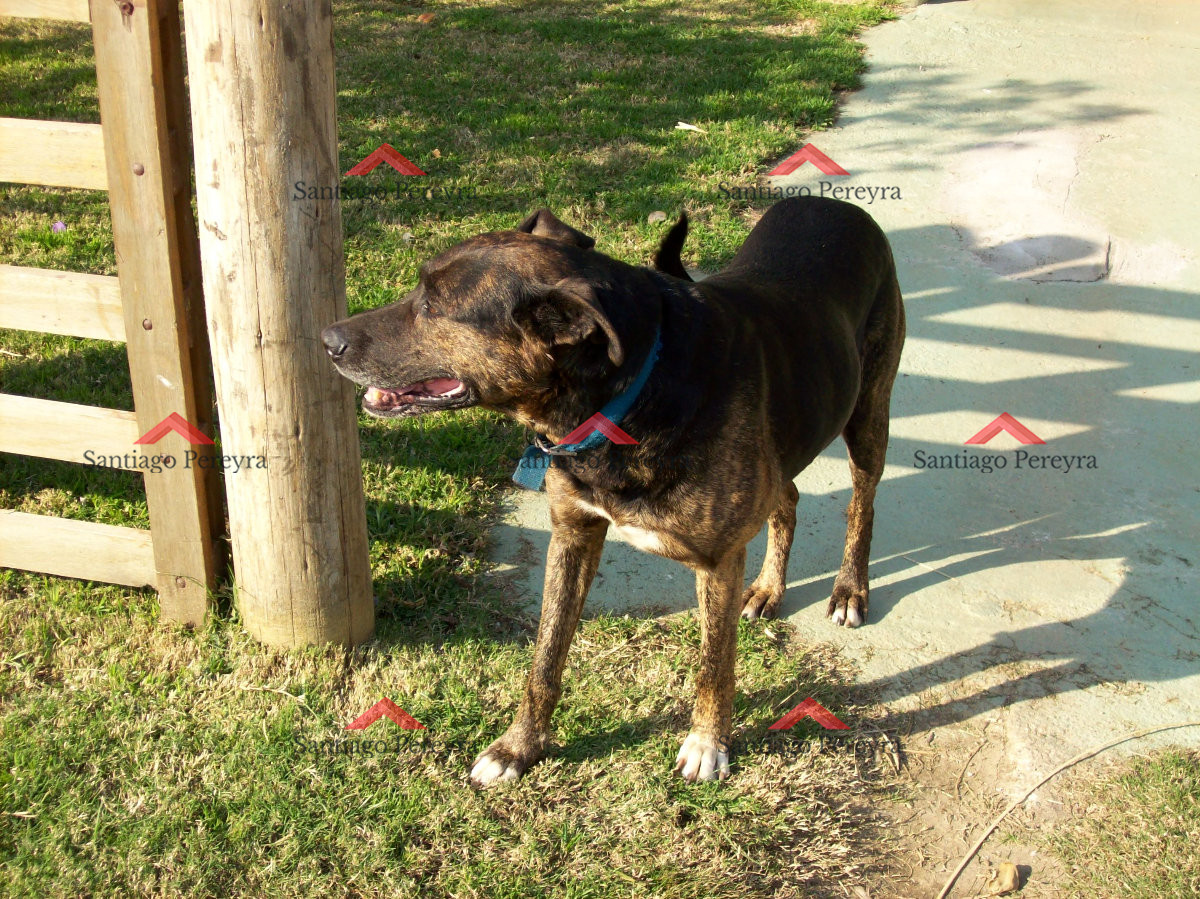 Casa ID.4355 - Espectacular casa en venta 