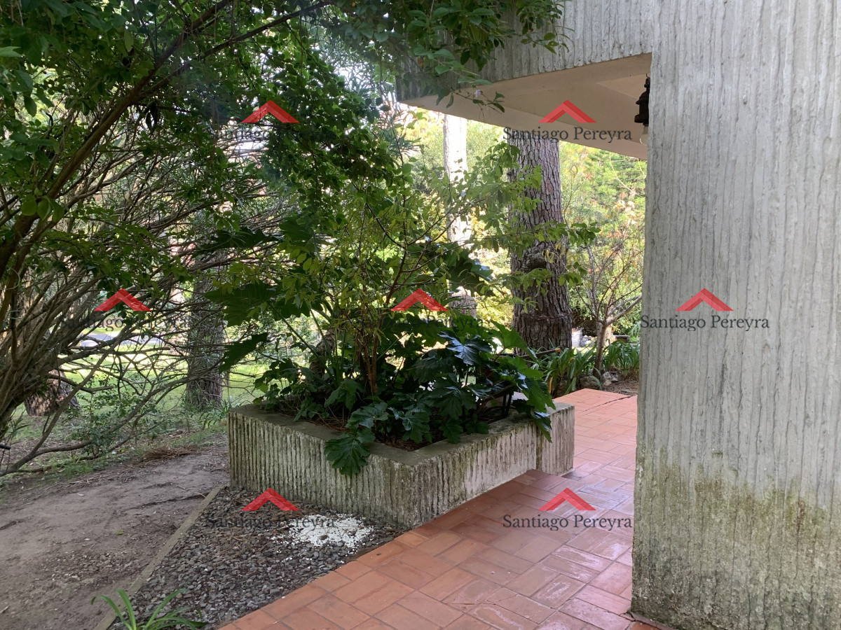San Rafael - GoPunta - Portal Inmobiliario de Punta del Este - Maldonado
