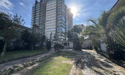 Terreno con casita en el corazón de Punta del Este
