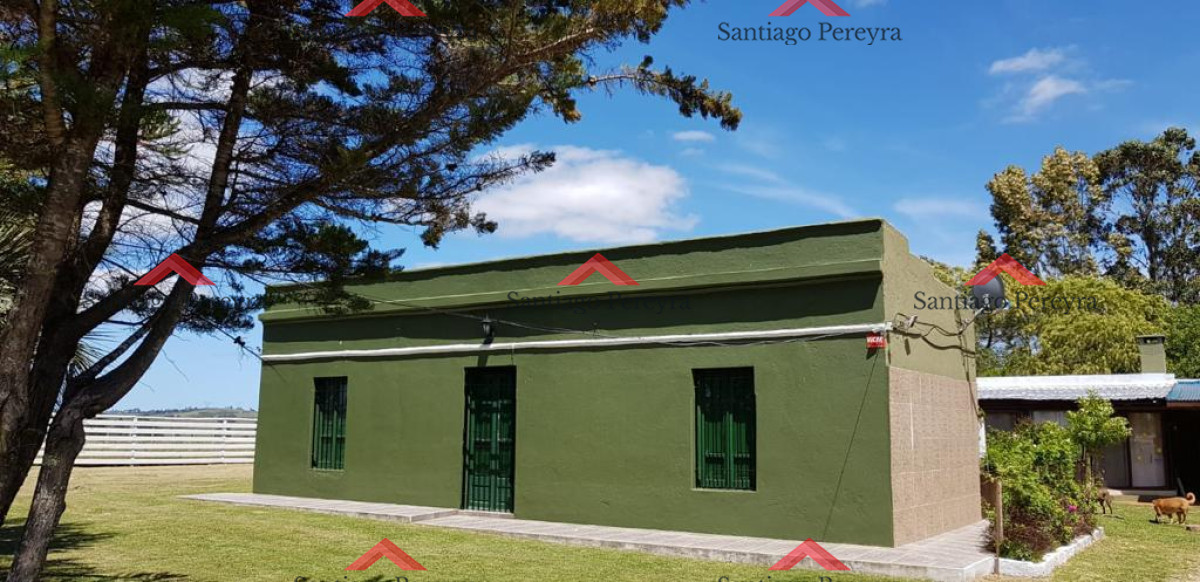 Chacra ID.15147 - chacra en venta ruta 39