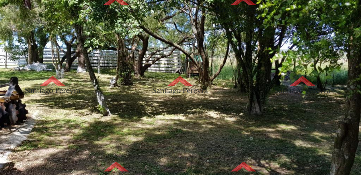Chacra ID.15147 - chacra en venta ruta 39