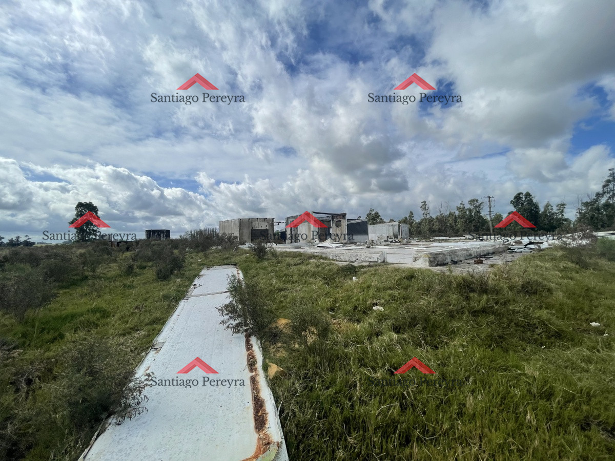 Chacra ID.12718 - Vendo chacra sobre ruta 9, a 18 kms de PDE