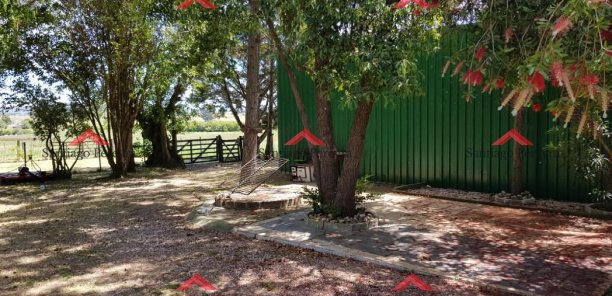 Chacra ID.15147 - chacra en venta ruta 39