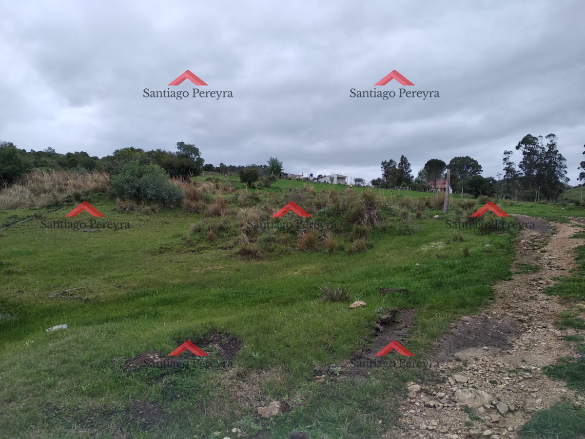 Chacra ID.11374 - Vendo excelente chacra de 39 hectáreas para granja turística o tambo, Aigua, Punta del Este