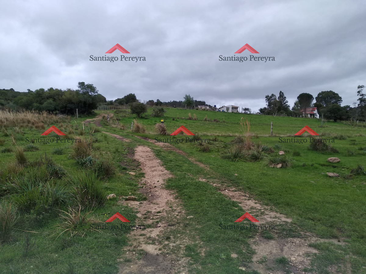 Chacra ID.11374 - Vendo excelente chacra de 39 hectáreas para granja turística o tambo, Aigua, Punta del Este