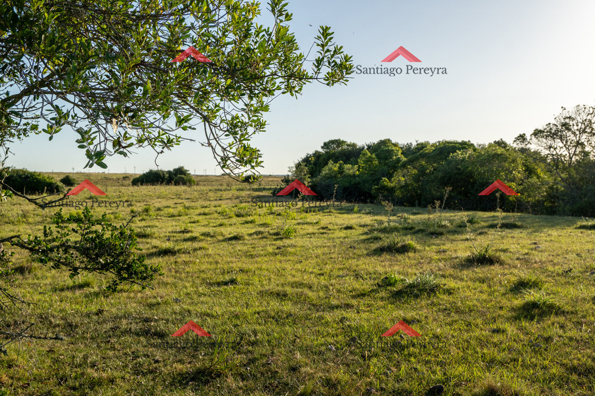 Chacra ID.16591 - Chacra en venta de 5 ha 5124 m2 ubicada en la zona de Pueblo Garzón