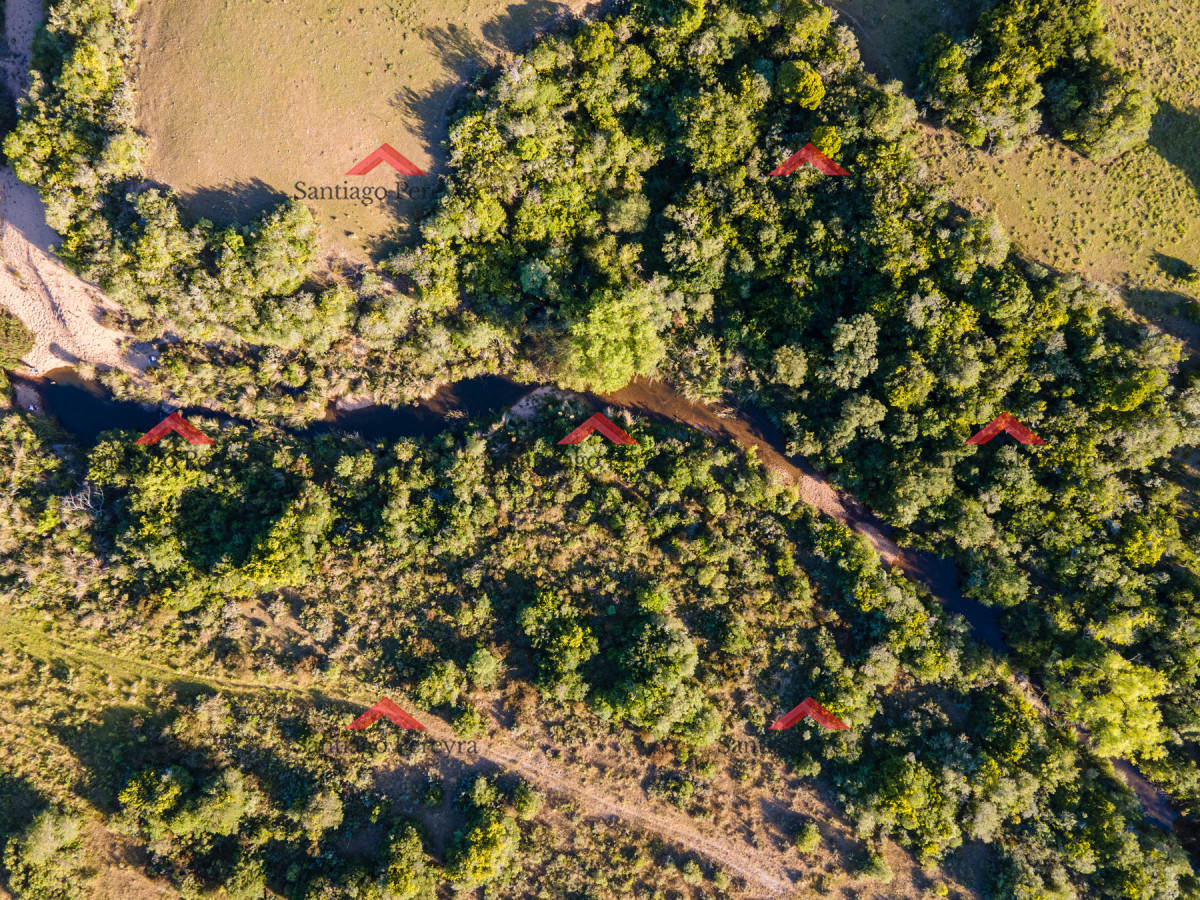 Chacra ID.16591 - Chacra en venta de 5 ha 5124 m2 ubicada en la zona de Pueblo Garzón