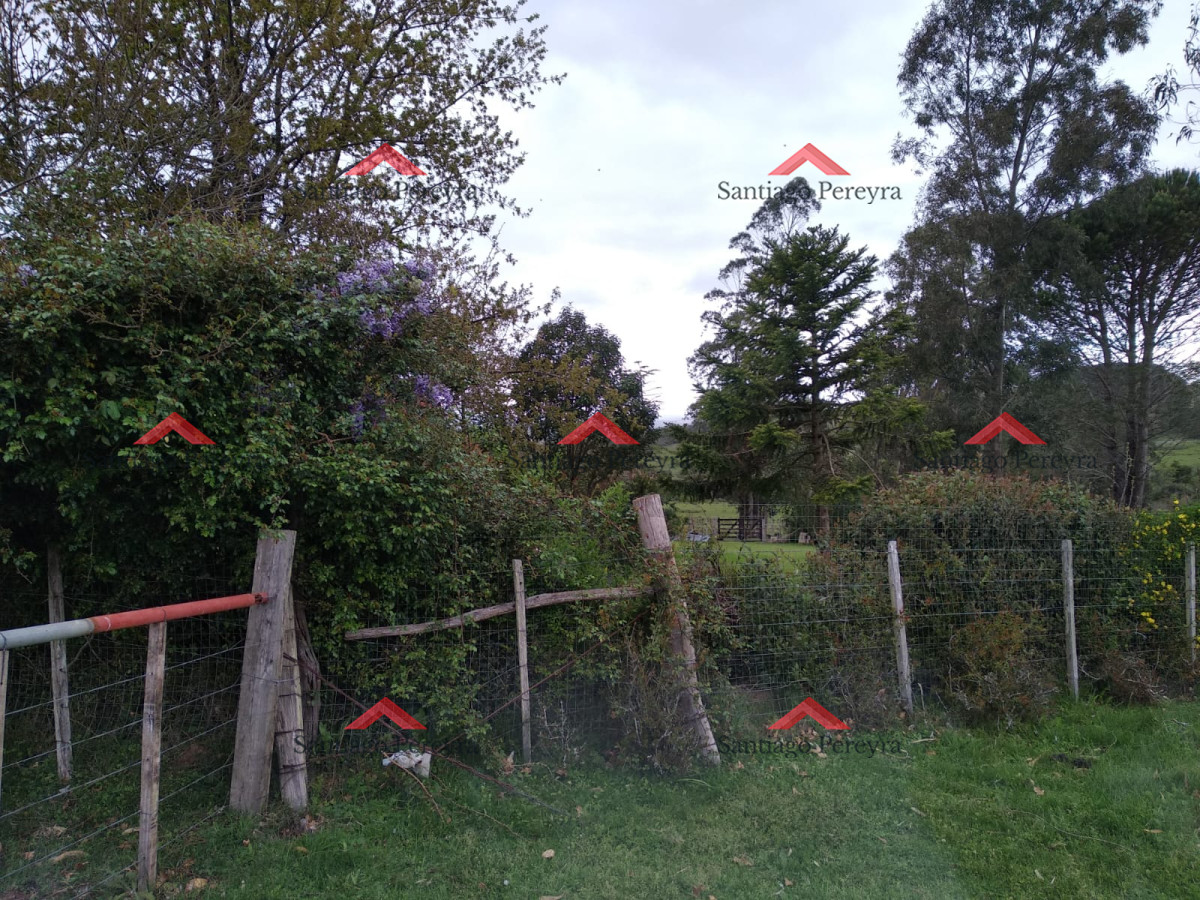 Chacra ID.11374 - Vendo excelente chacra de 39 hectáreas para granja turística o tambo, Aigua, Punta del Este