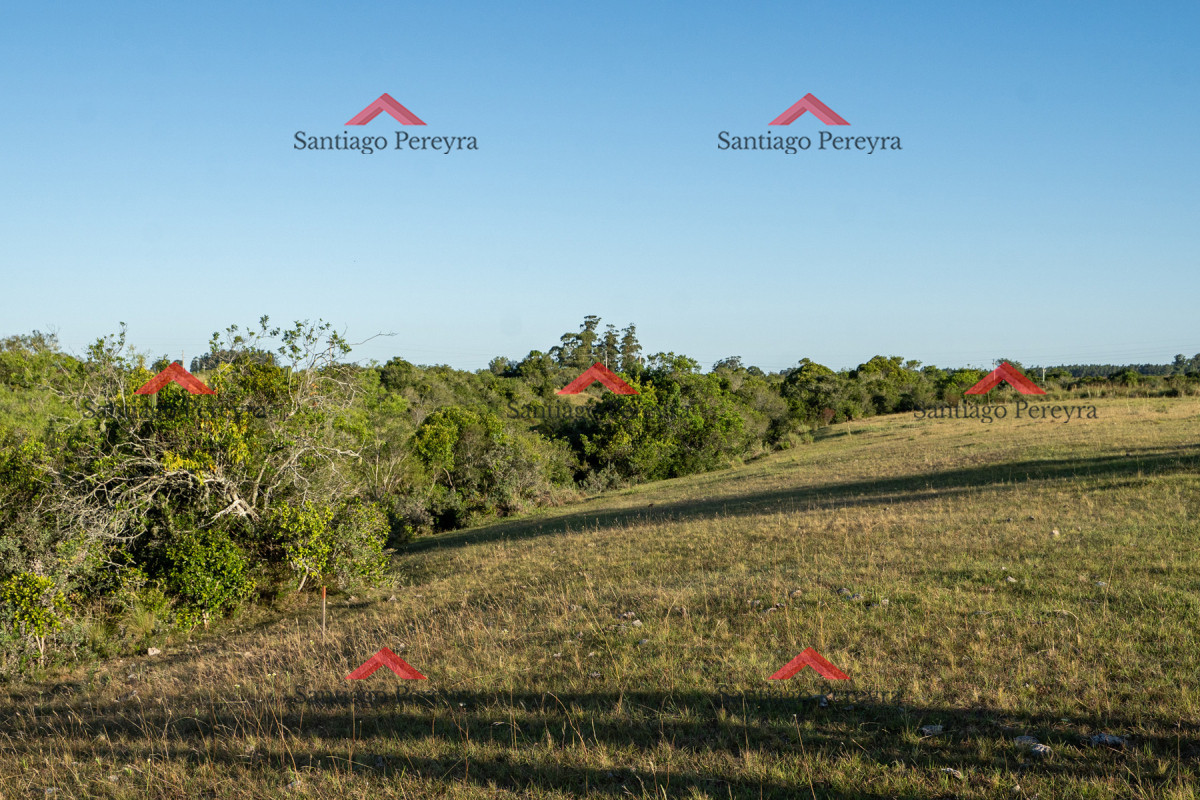 Chacra ID.16591 - Chacra en venta de 5 ha 5124 m2 ubicada en la zona de Pueblo Garzón