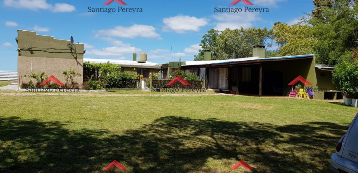Chacra ID.15147 - chacra en venta ruta 39