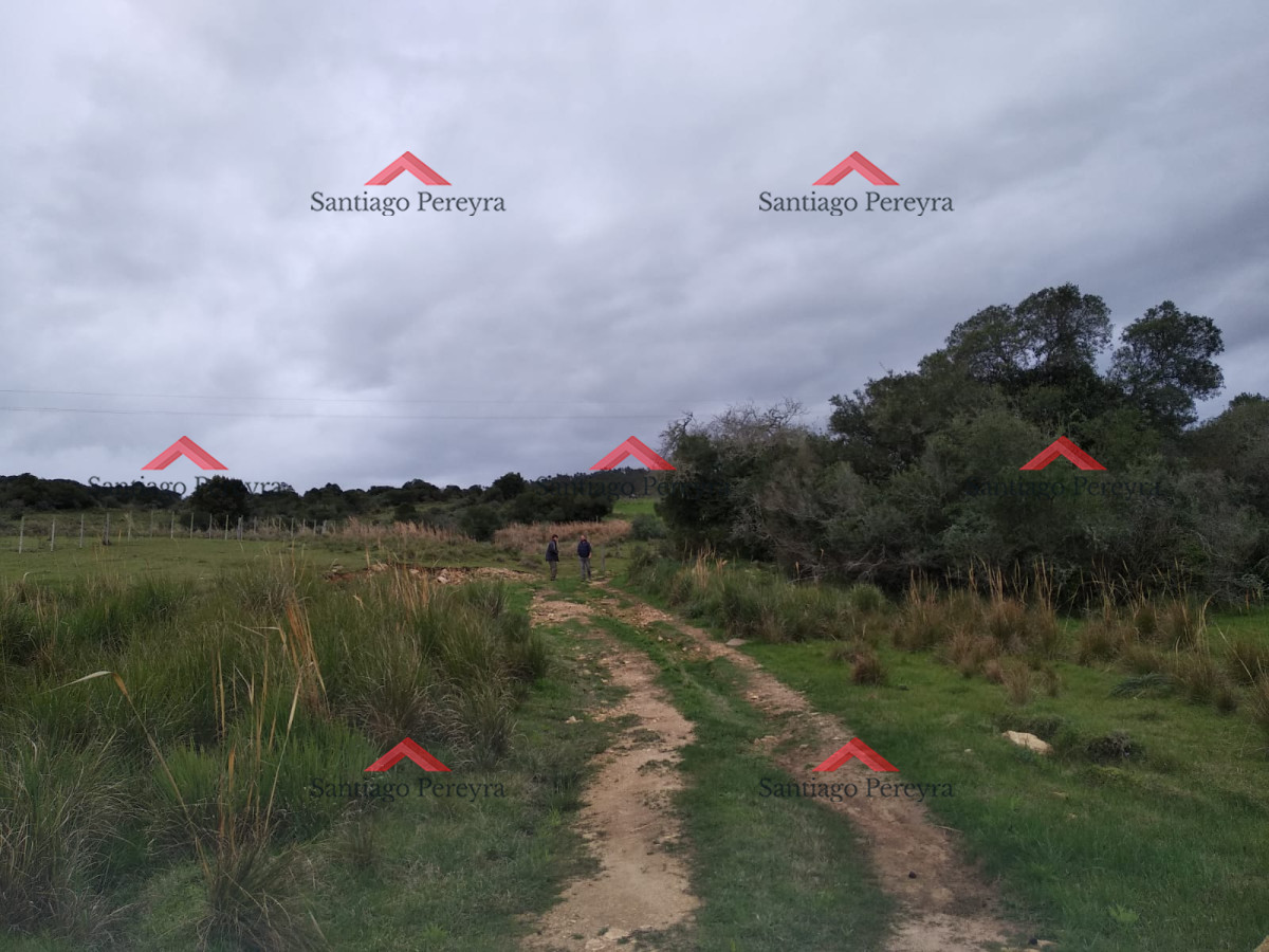 Chacra ID.11374 - Vendo excelente chacra de 39 hectáreas para granja turística o tambo, Aigua, Punta del Este