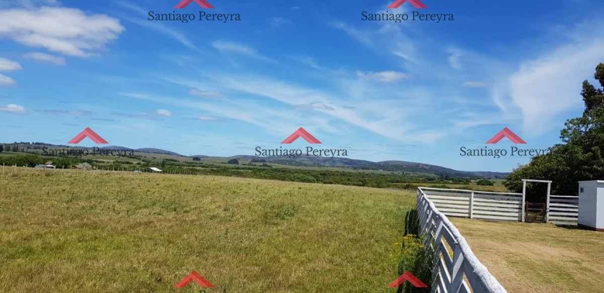 Chacra ID.15147 - chacra en venta ruta 39