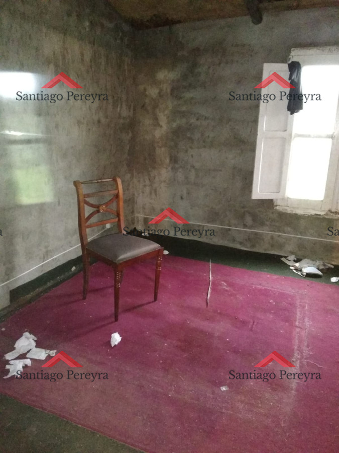 Chacra ID.11374 - Vendo excelente chacra de 39 hectáreas para granja turística o tambo, Aigua, Punta del Este