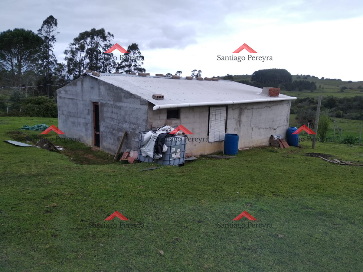 Chacra ID.11374 - Vendo excelente chacra de 39 hectáreas para granja turística o tambo, Aigua, Punta del Este
