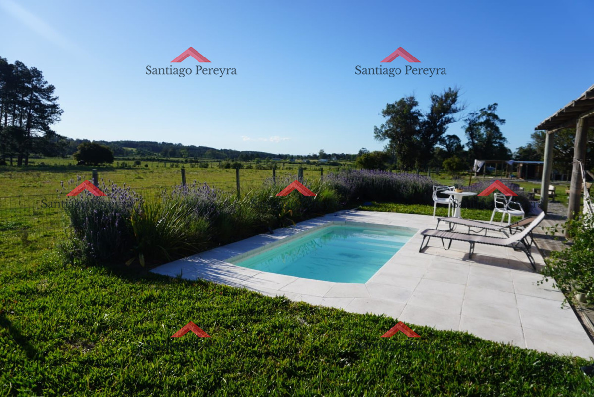 Las Cumbres - GoPunta - Portal Inmobiliario de Punta del Este - Maldonado