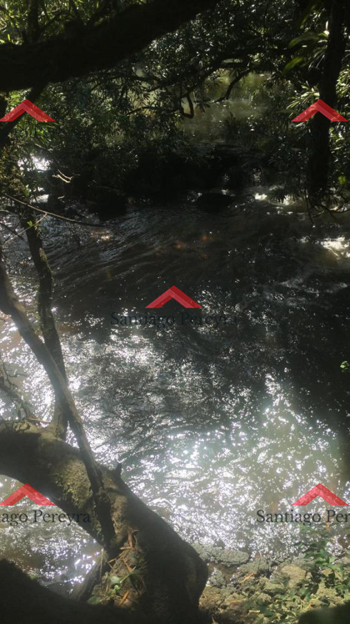 Chacra ID.15147 - chacra en venta ruta 39