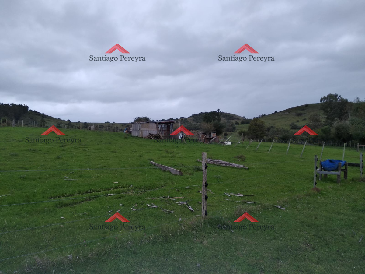 Chacra ID.11374 - Vendo excelente chacra de 39 hectáreas para granja turística o tambo, Aigua, Punta del Este