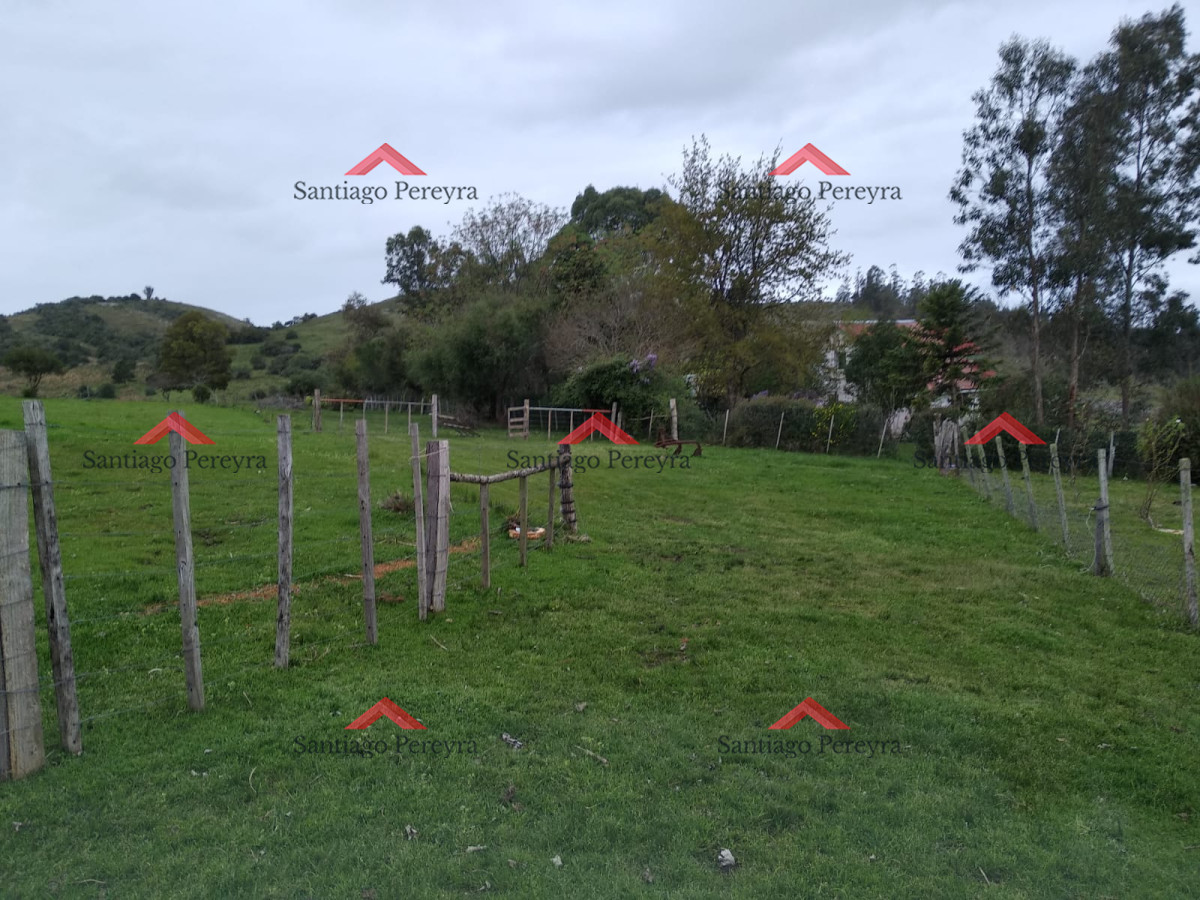 Chacra ID.11374 - Vendo excelente chacra de 39 hectáreas para granja turística o tambo, Aigua, Punta del Este