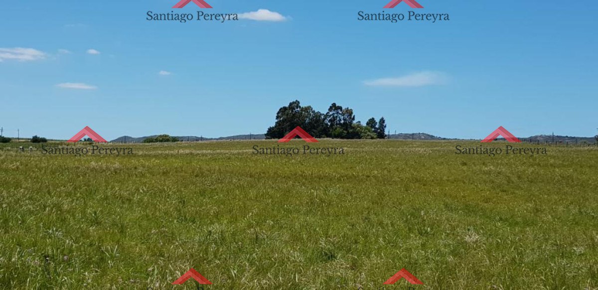 Chacra ID.15147 - chacra en venta ruta 39