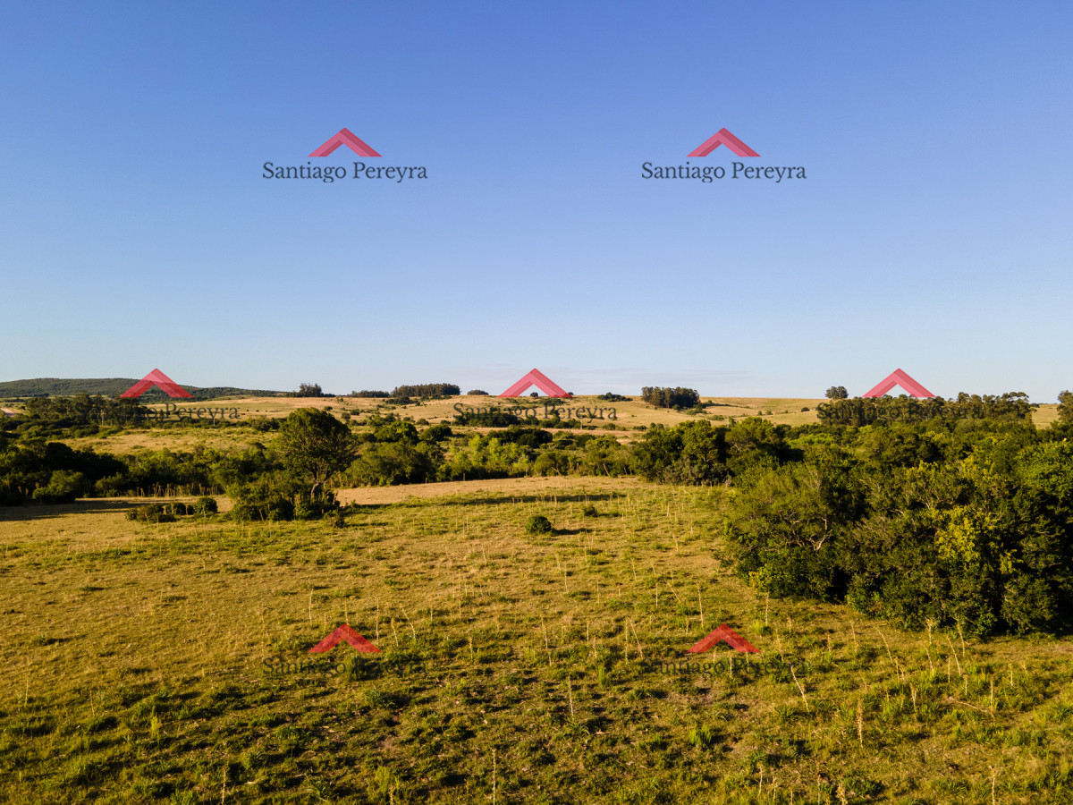 Chacra ID.16591 - Chacra en venta de 5 ha 5124 m2 ubicada en la zona de Pueblo Garzón