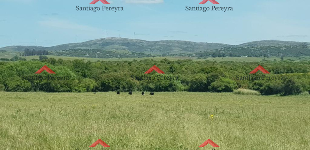 Chacra ID.15147 - chacra en venta ruta 39