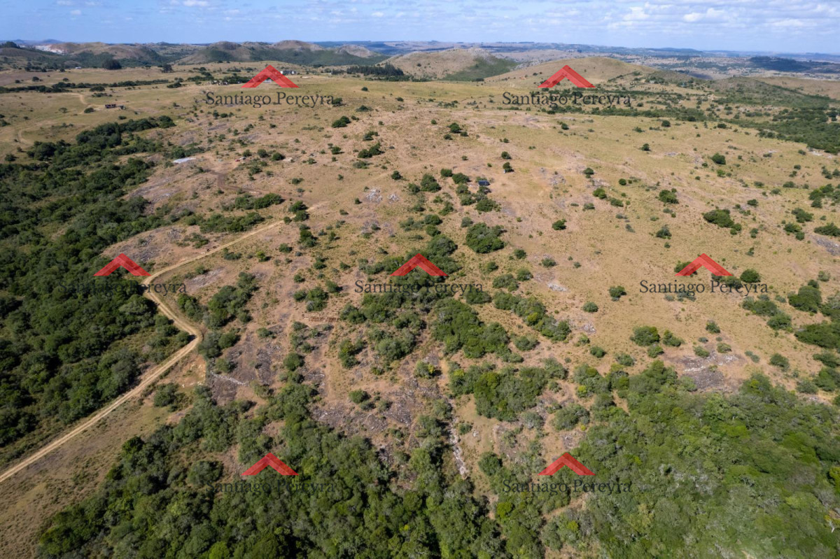 Chacra en Ruta 60 km 37,500. - GoPunta - Portal Inmobiliario de Punta del Este - Maldonado