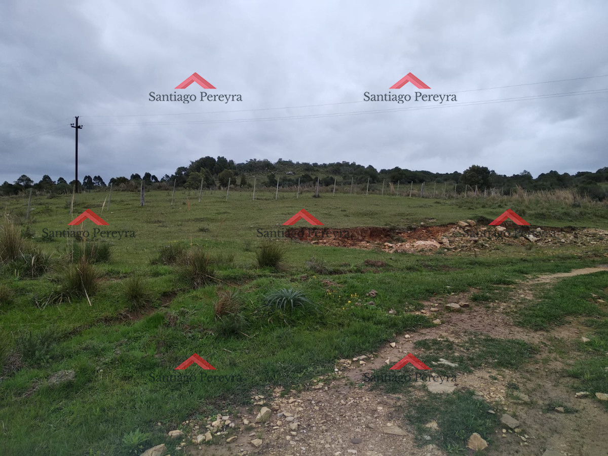 Chacra ID.11374 - Vendo excelente chacra de 39 hectáreas para granja turística o tambo, Aigua, Punta del Este