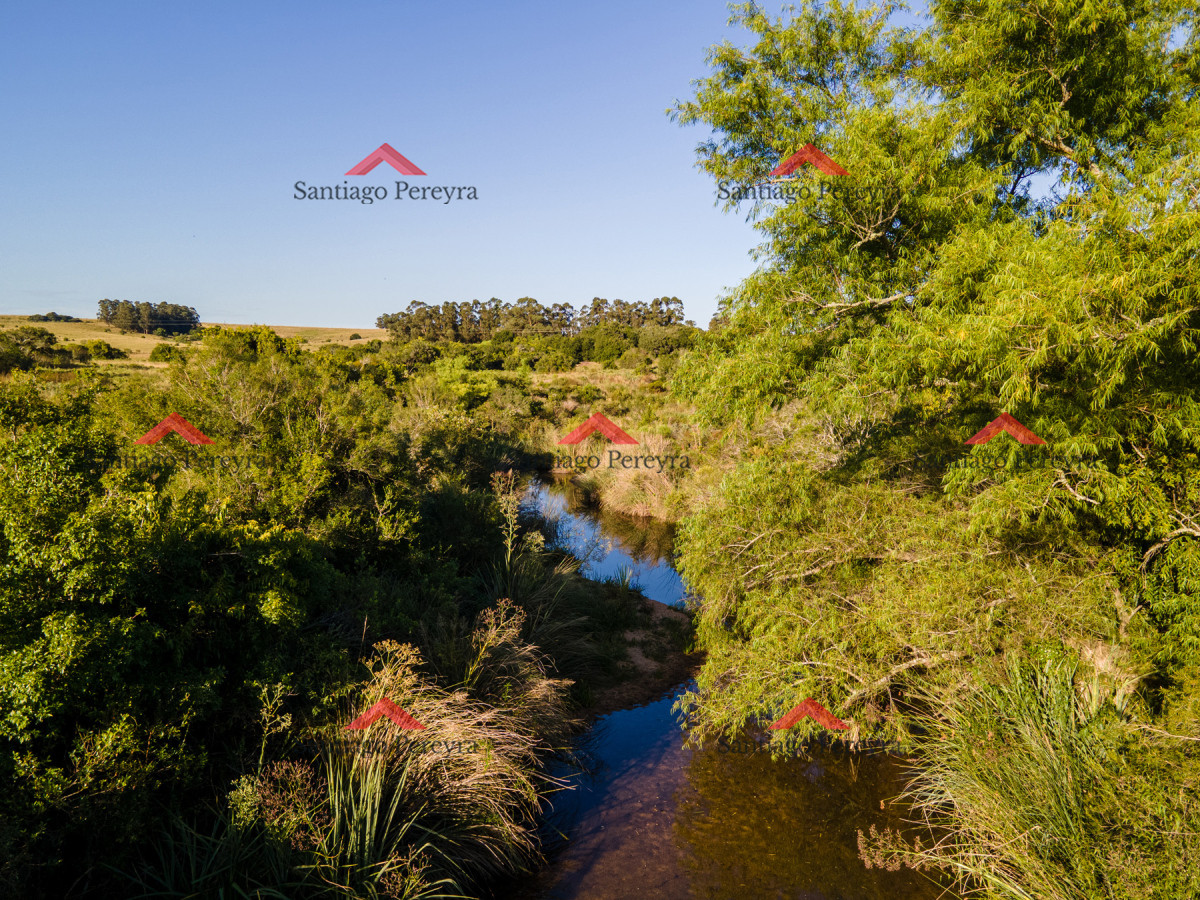 Chacra ID.16591 - Chacra en venta de 5 ha 5124 m2 ubicada en la zona de Pueblo Garzón
