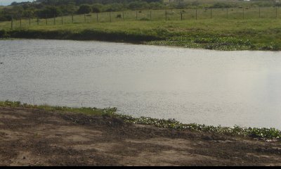 Chacra en Punta del Este