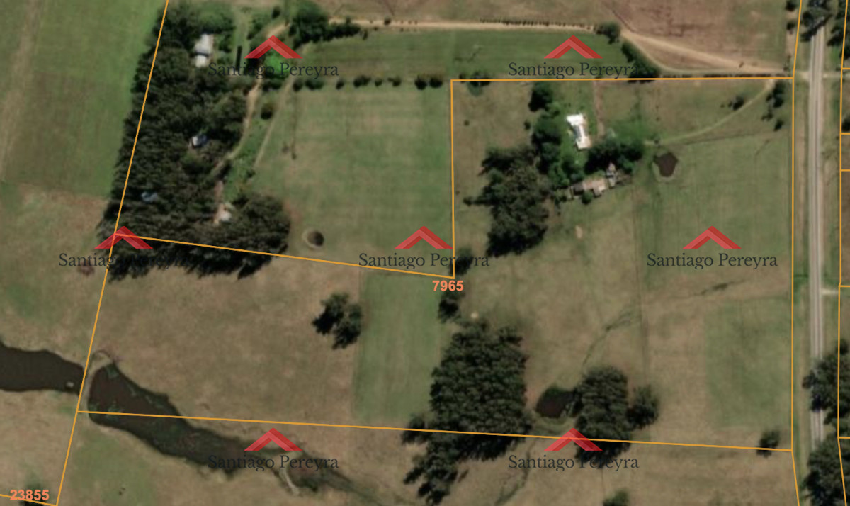 Campo Ref.16258 - LO QUE NO HAY EN VENTA - Campo - chacra de 12 hectáreas sobre ruta 104