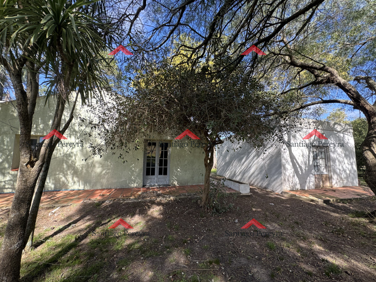 Campo Ref.16570 - Chacra de 16 hectáreas en partido norte