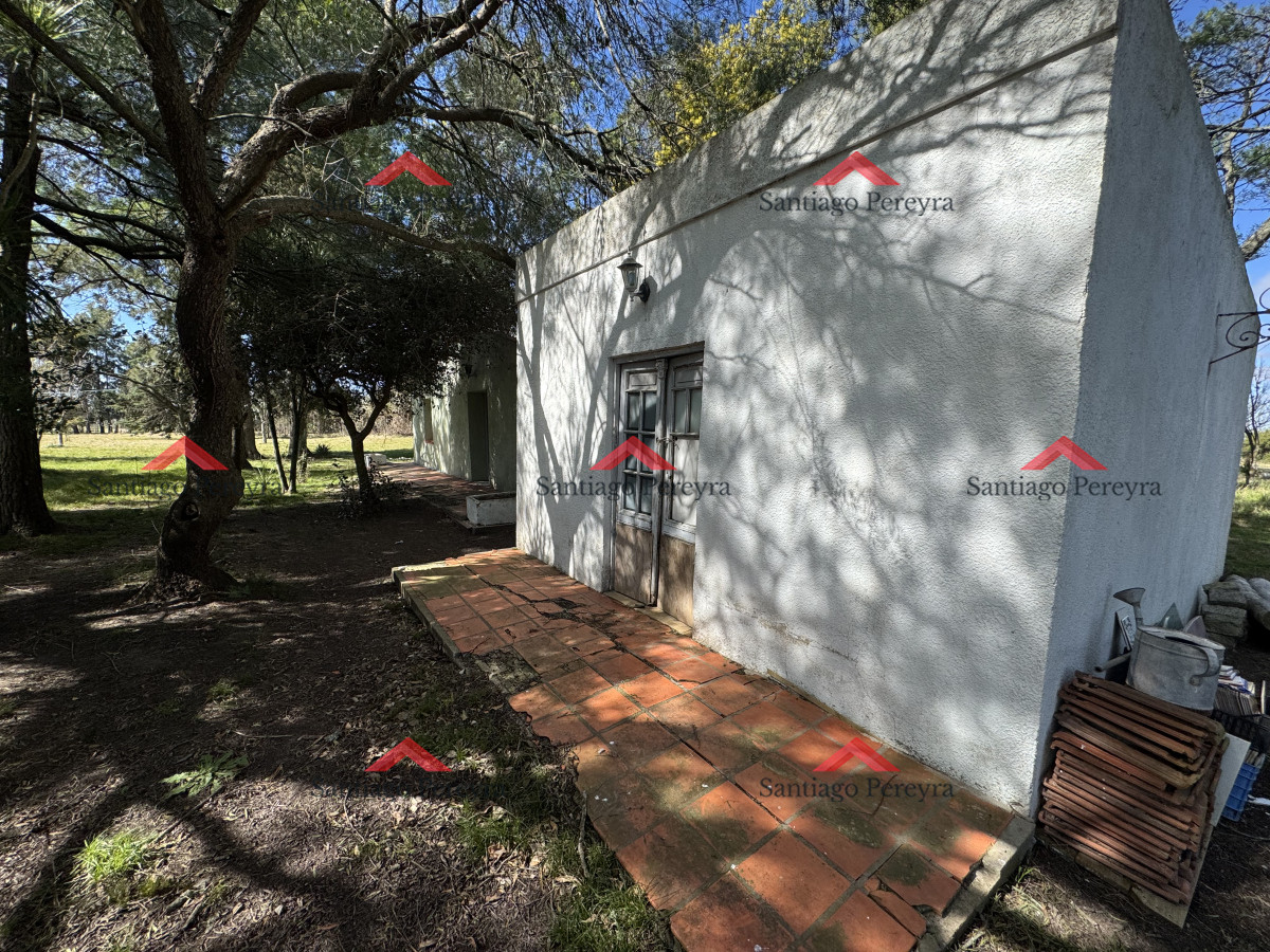 Campo Ref.16570 - Chacra de 16 hectáreas en partido norte