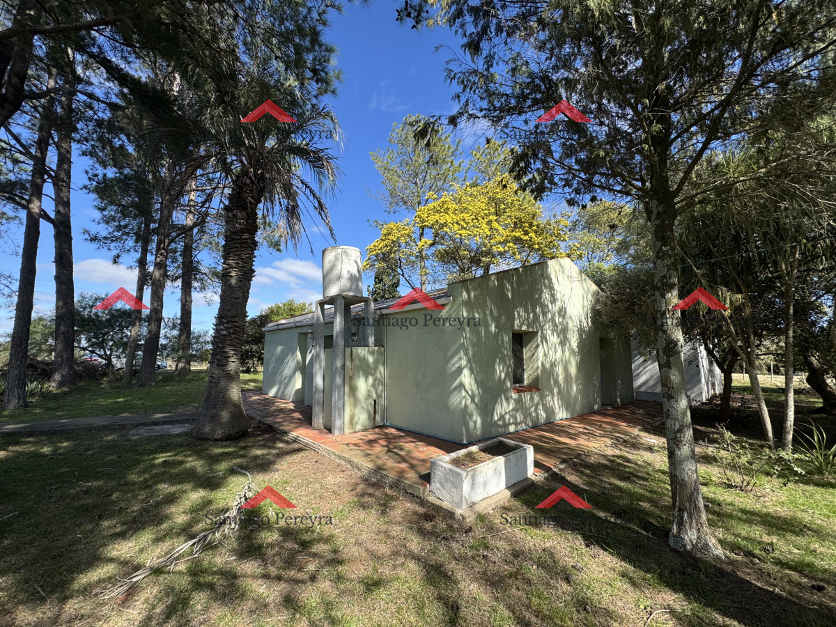 Campo Ref.16570 - Chacra de 16 hectáreas en partido norte