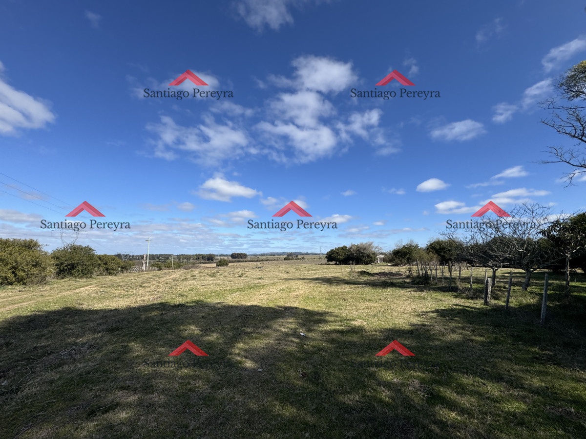 Campo Ref.16570 - Chacra de 16 hectáreas en partido norte