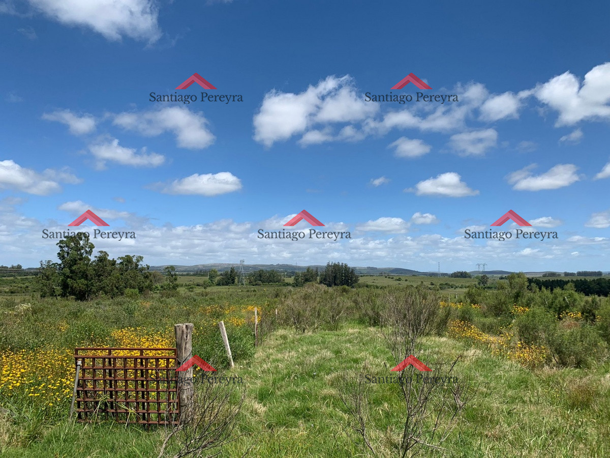 Campo Ref.7904 - Chacra de 8 ha sobre ruta 39