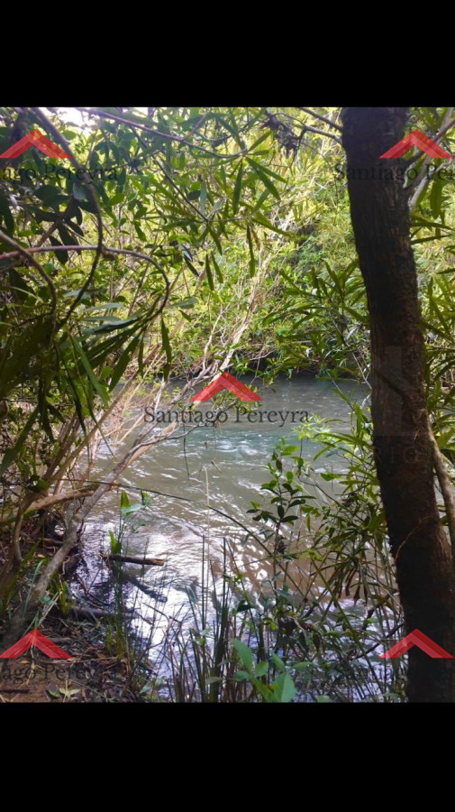 Campo Ref.15335 - Campo de 19,5 hectáreas con costa de arroyo