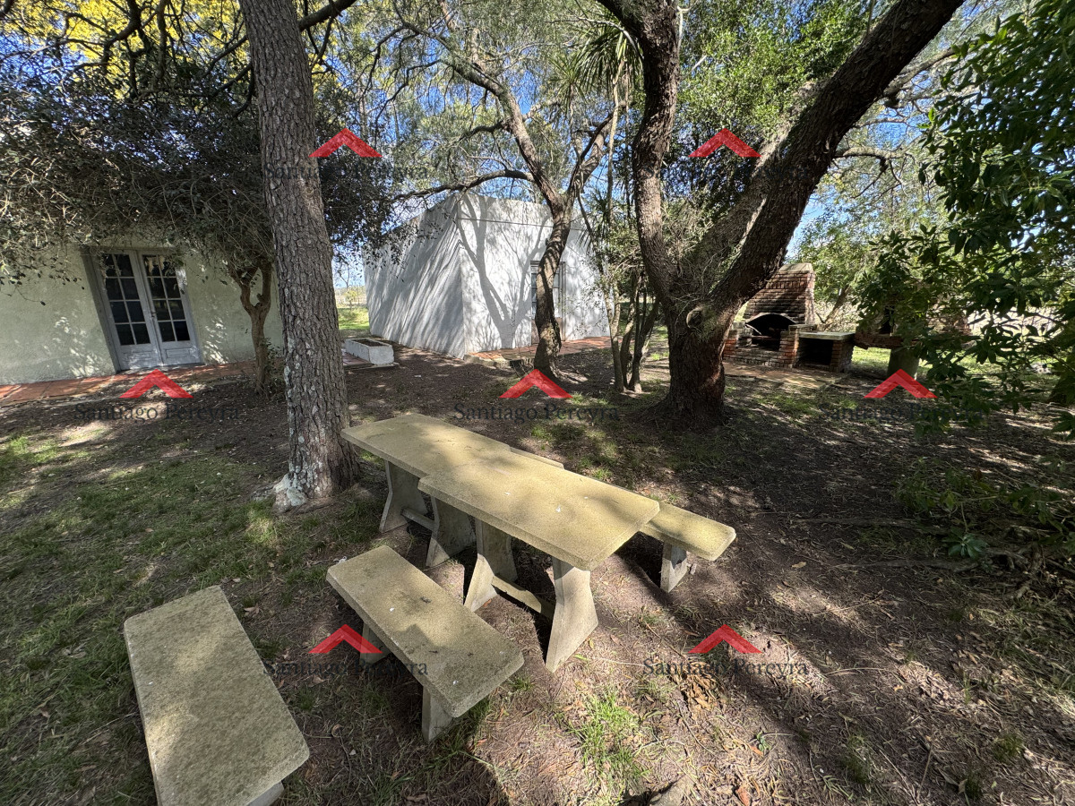 Campo Ref.16570 - Chacra de 16 hectáreas en partido norte