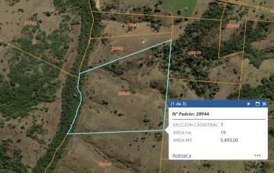 Campo de 19,5 hectáreas con costa de arroyo