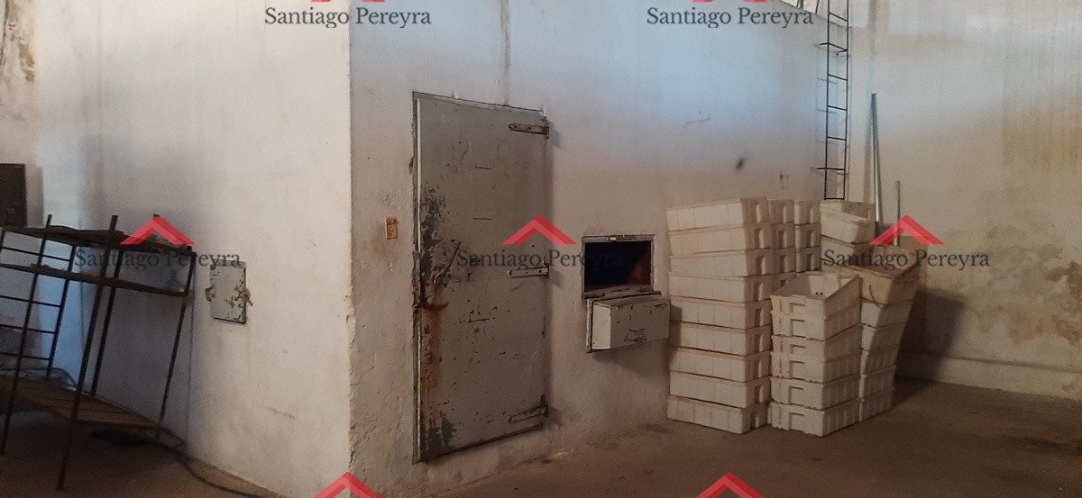 Local Comercial ID.6010 - Excepcional esquina