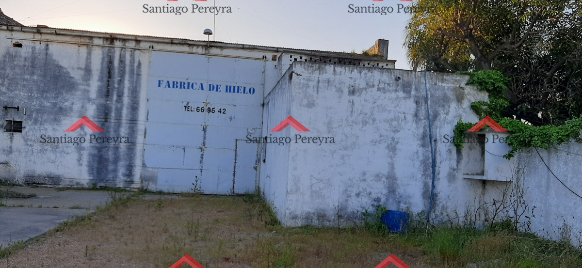 Local Comercial ID.6010 - Excepcional esquina