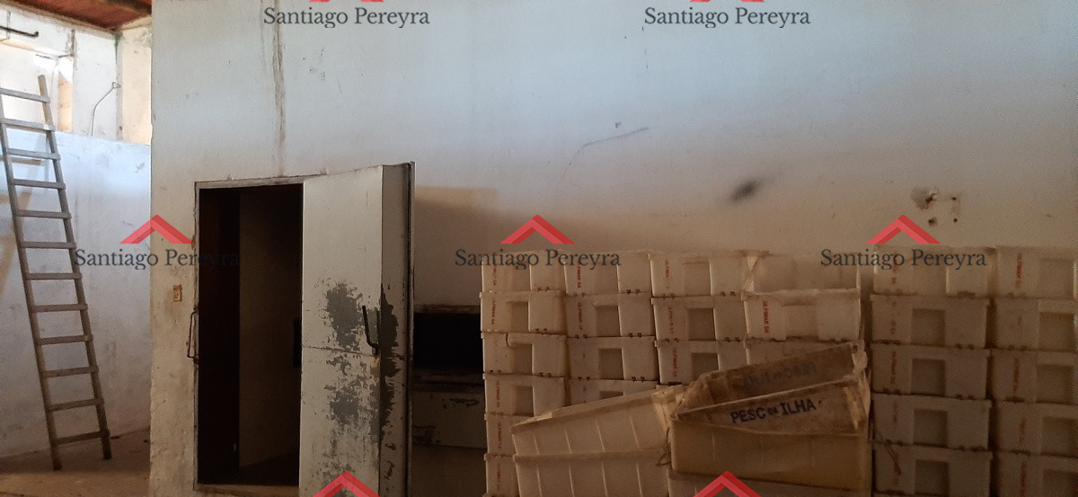 Local Comercial ID.6010 - Excepcional esquina