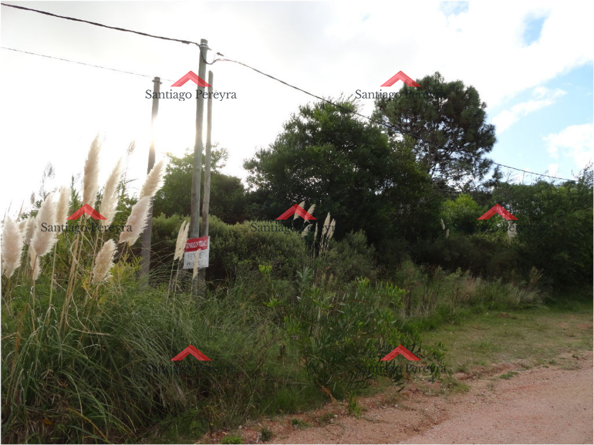Terreno ID.11098 - Terreno en La Barra, Montoya