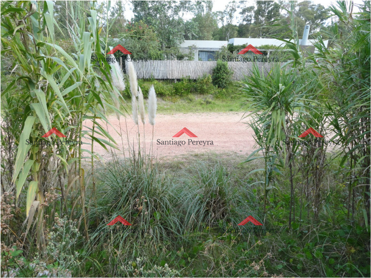 Terreno ID.11098 - Terreno en La Barra, Montoya