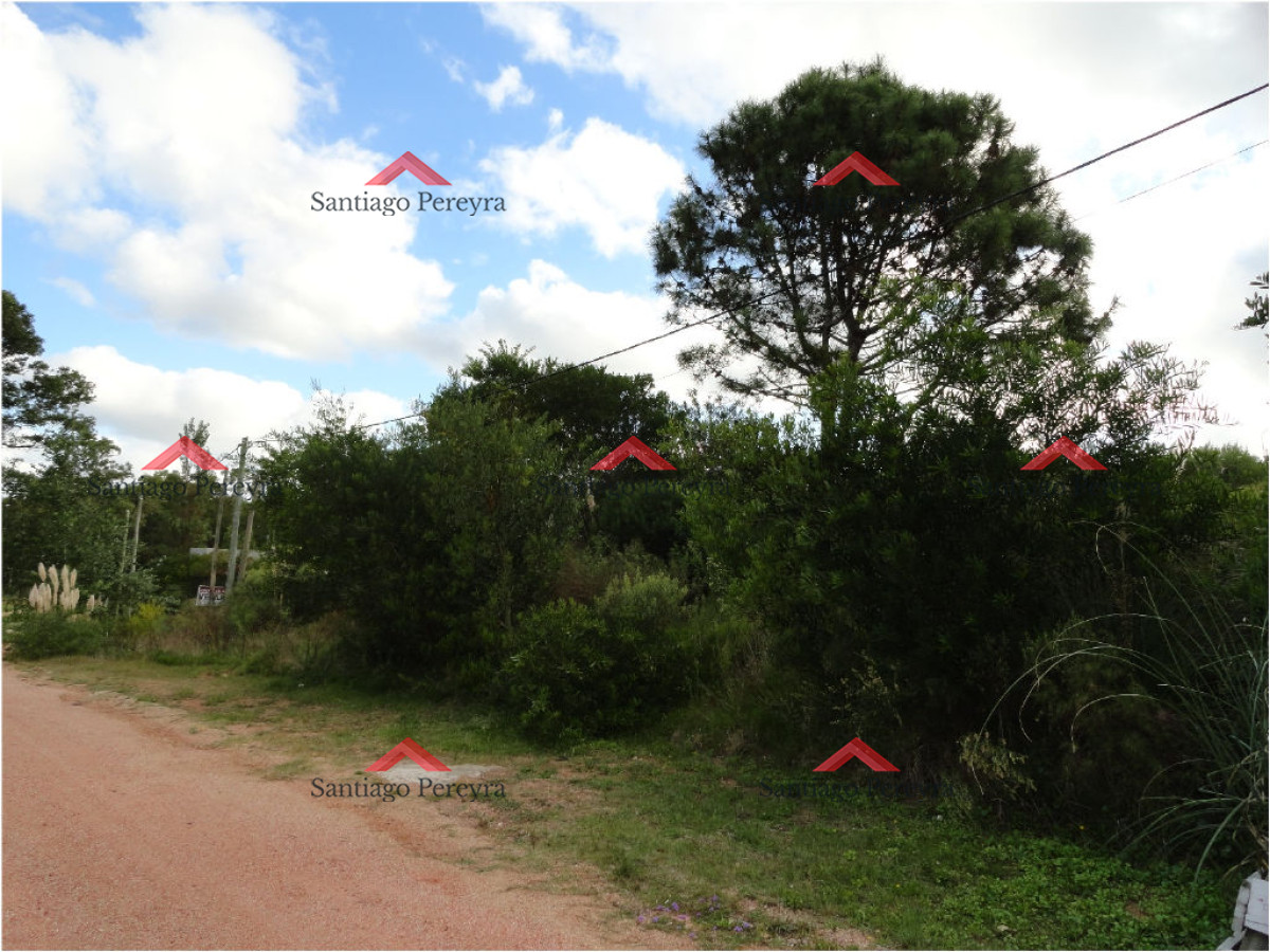 Terreno ID.11098 - Terreno en La Barra, Montoya