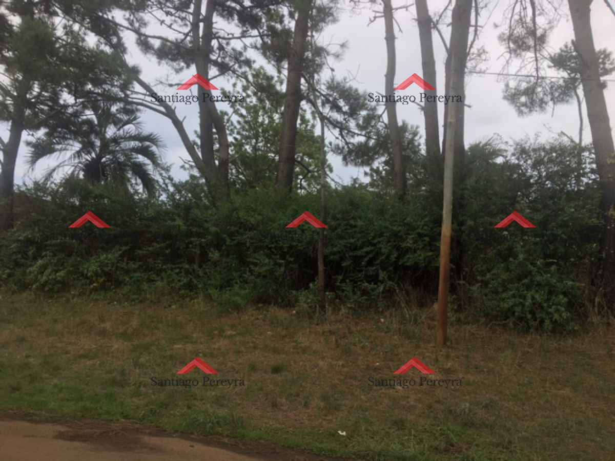 Terreno ID.6064 - Terreno en Punta del Este, Lugano