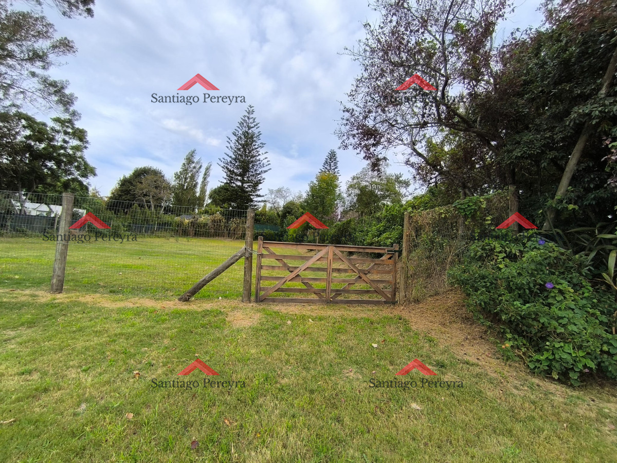 TERRENO ZONA GOLF - GoPunta - Portal Inmobiliario de Punta del Este - Maldonado