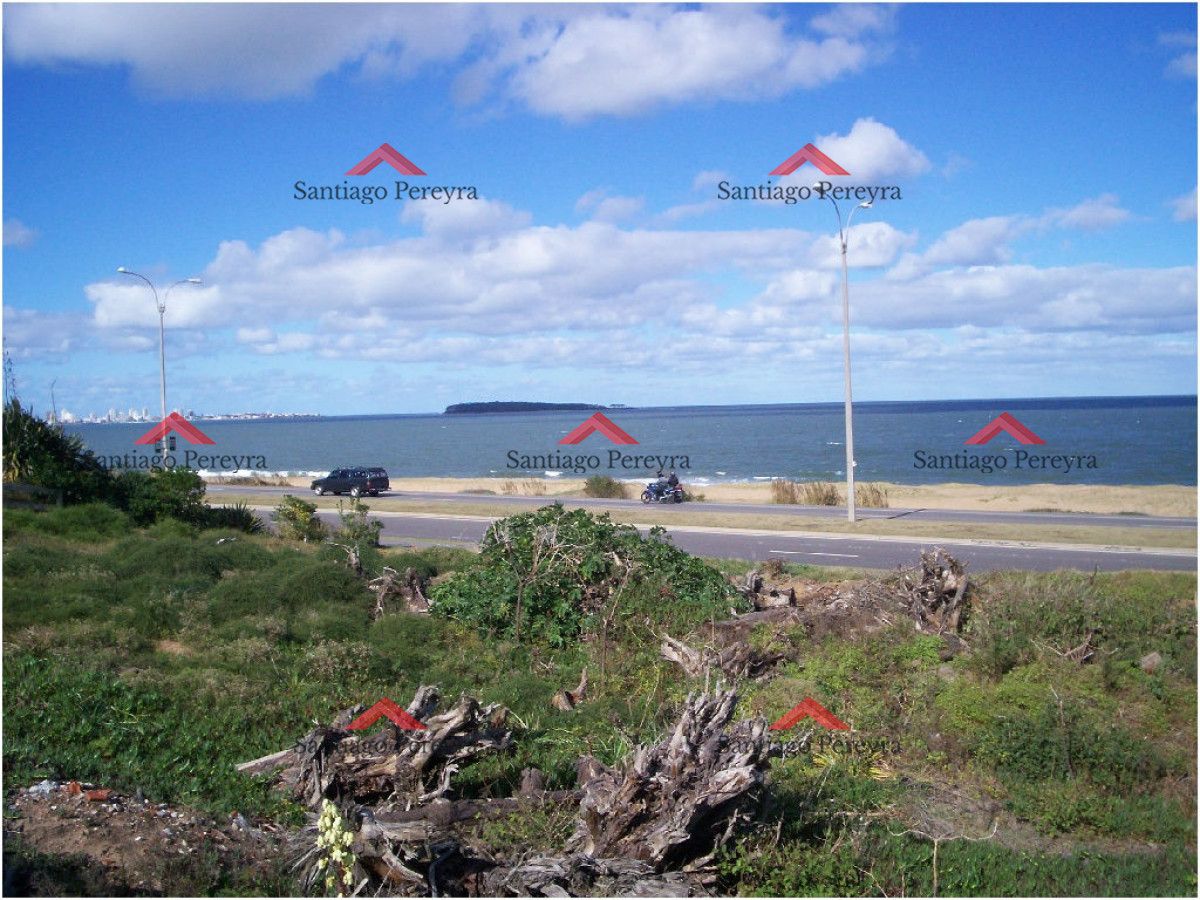Terreno ID.4629 - Terreno en venta 